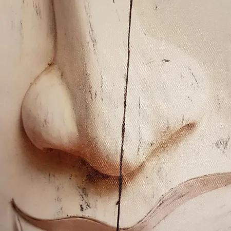 Le Petit Logis De Tinténiac