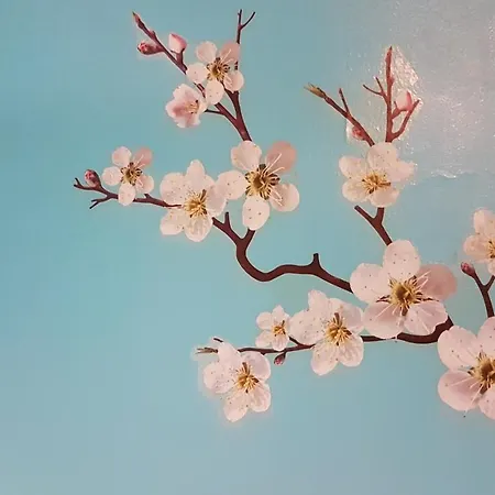 Le Petit Logis De Tinténiac Angers