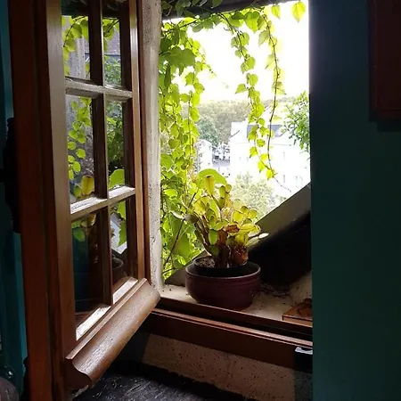 Le Petit Logis De Tinténiac Angers