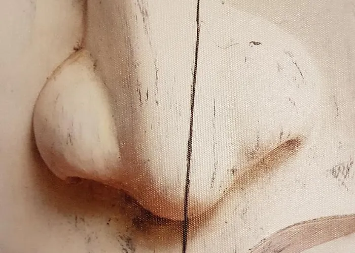 Le Petit Logis De Tinteniac