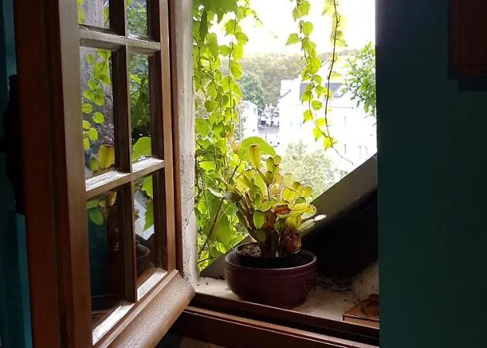 Le Petit Logis De Tinteniac Angers